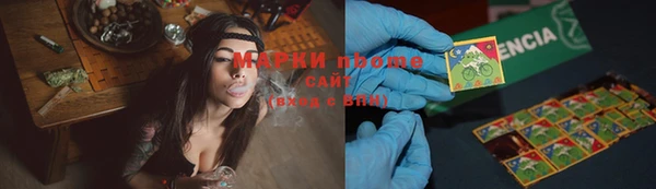 стаф Баксан