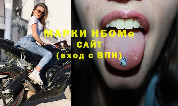 стаф Баксан