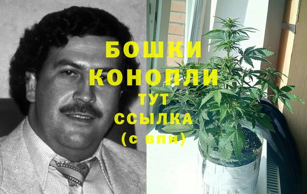 стаф Баксан