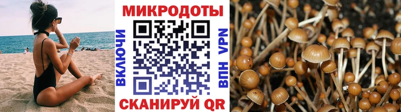 Псилоцибиновые грибы Magic Shrooms  Петров Вал 